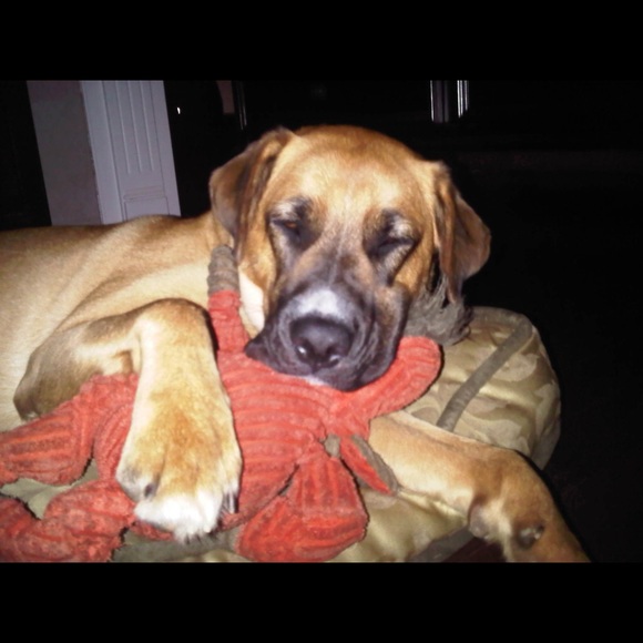 Meet your Posher, David - Picture 1 of 1